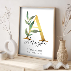 Narození miminka Abeceda Plakát