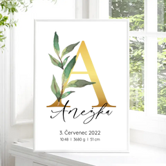 Narození miminka Abeceda Plakát