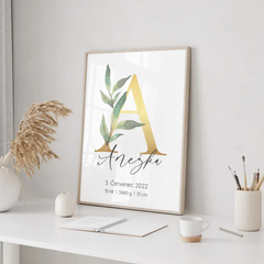 Narození miminka Abeceda Plakát