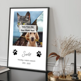 Vzpomínka na mazlíčka Plakát