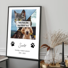 Vzpomínka na mazlíčka Plakát