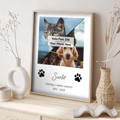 Vzpomínka na mazlíčka Plakát