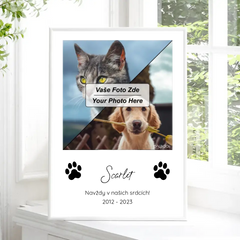 Vzpomínka na mazlíčka Plakát