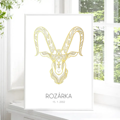 12 Znamení zvěrokruhu s vlastním jménem 2 Plakát