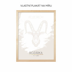 12 Znamení zvěrokruhu s vlastním jménem a pozadím Plakát