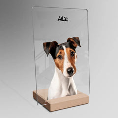 Karikatura Domácích Mazlíčků Akrylová Plaketa