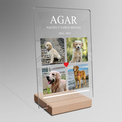 Vzpomínka na mazlíčka Plaketa 4