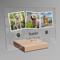 Vzpomínka na mazlíčka Plaketa na šířku 2