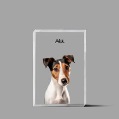 Karikatura Domácích Mazlíčků Akrylový Blok