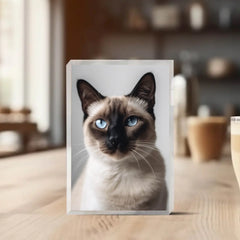 21 Plemen koček Blok