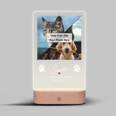 Vzpomínka na mazlíčka Lampa LED