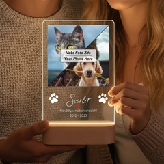 lampa 140x210 vyrez-gigapixel-low_res-scale-6_00x