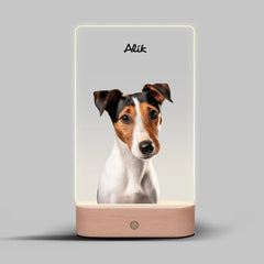 Karikatura Domácích Mazlíčků Lampa LED