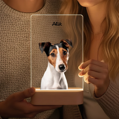 lampa 140x210 vyrez-gigapixel-low_res-scale-6_00x