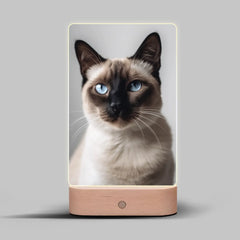 21 Plemen koček Lampa LED