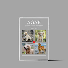 Vzpomínka na mazlíčka Blok 4