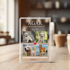 Vzpomínka na mazlíčka Blok 4