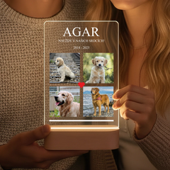 lampa 140x210 vyrez-gigapixel-low_res-scale-6_00x