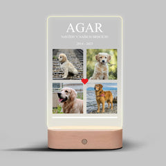 Vzpomínka na mazlíčka Lampa LED 4