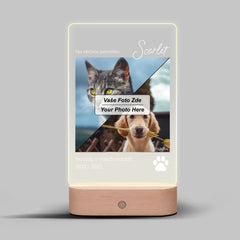 Vzpomínka na mazlíčka Lampa LED 2