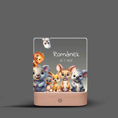 Zvířátka z celého světa Lampa LED