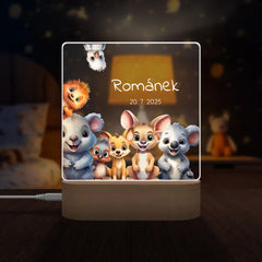 Zvířátka z celého světa Lampa LED