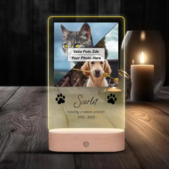 Pet memory LED lamp