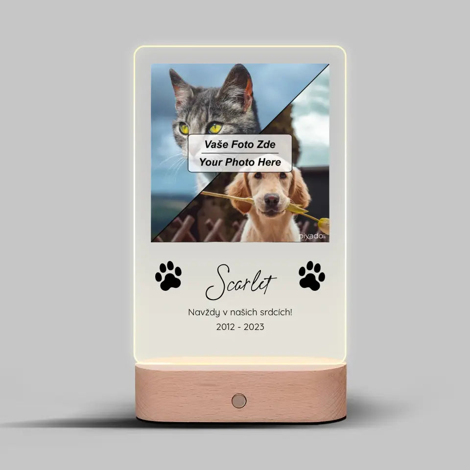 Pet memory LED lamp