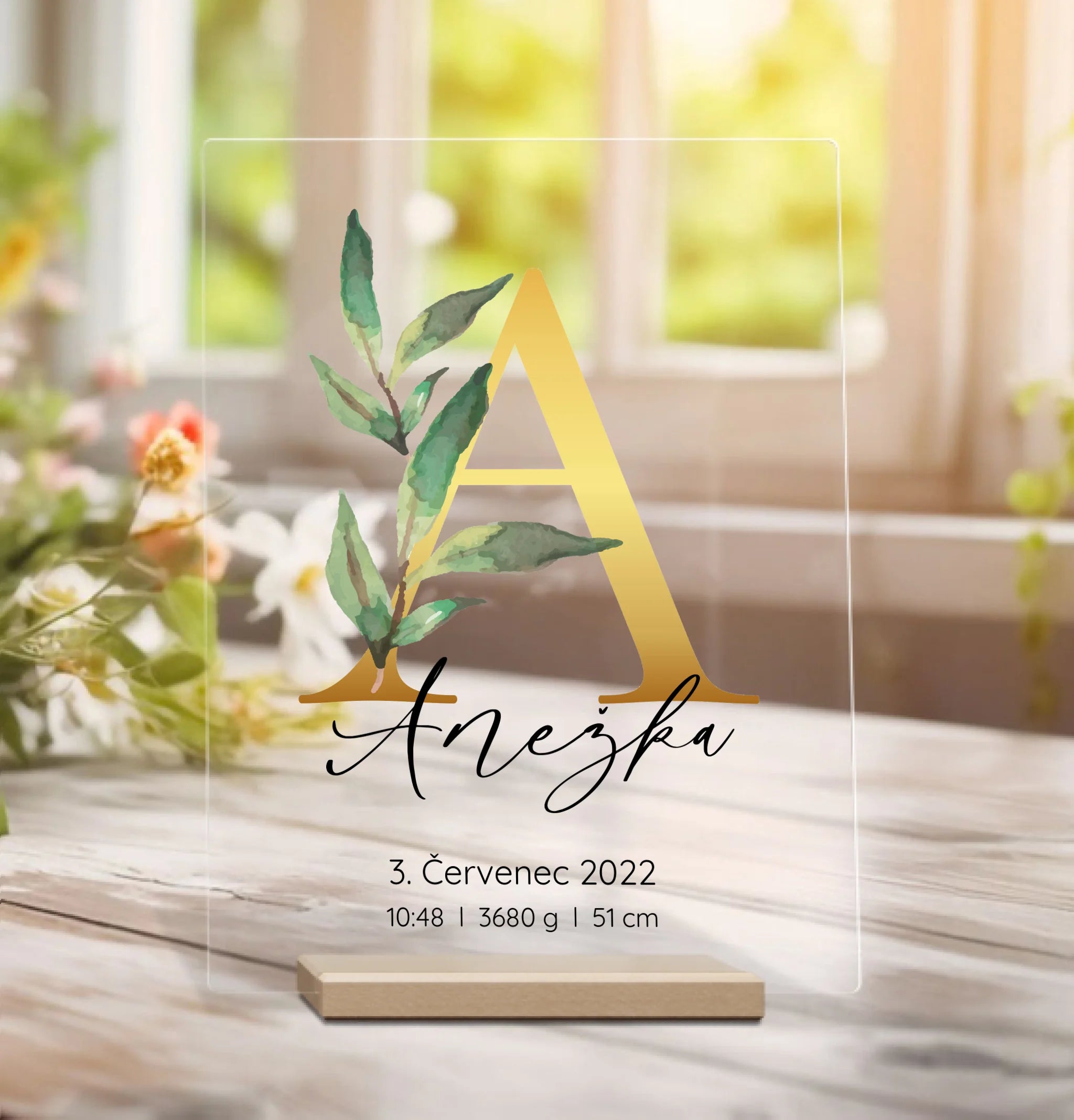 akryl 30x40cm pozadi 2