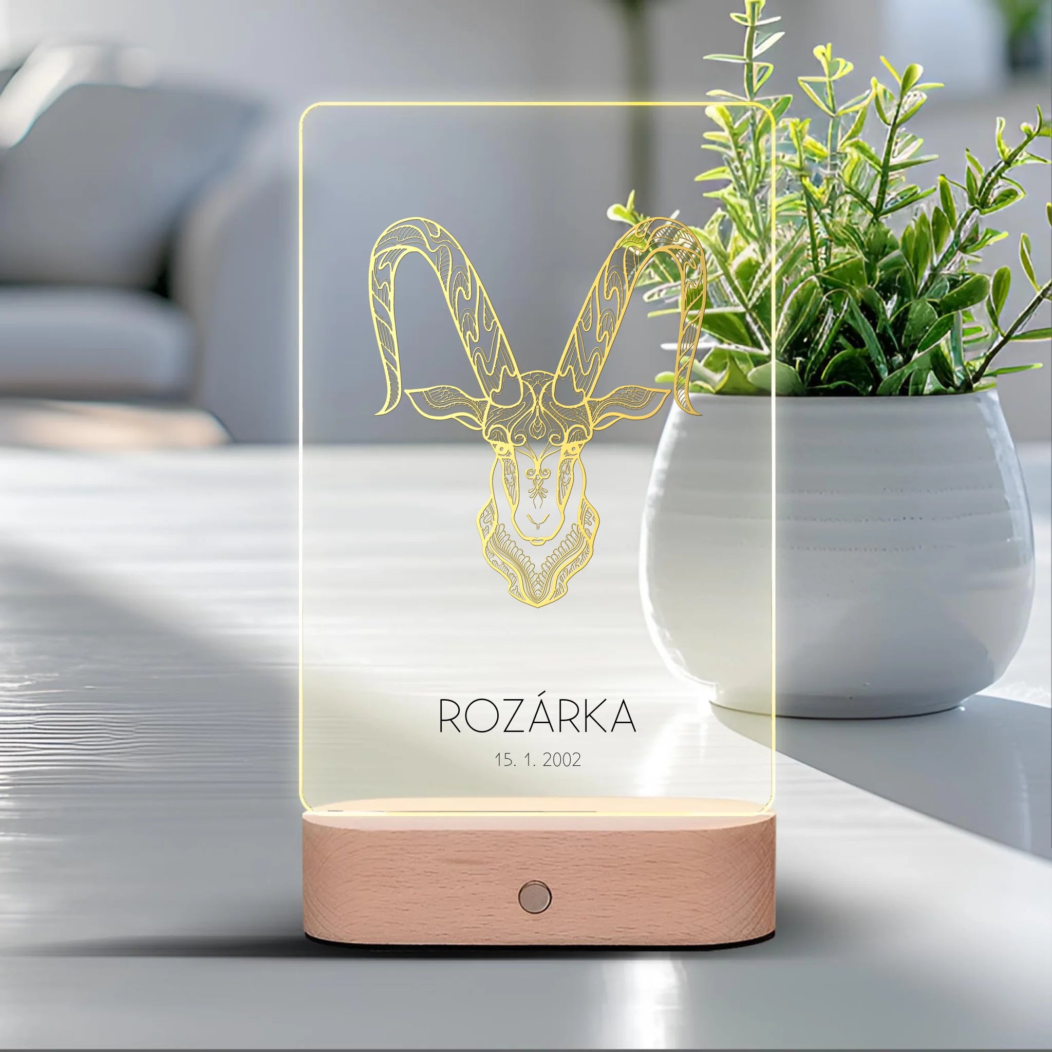 12 Znamení zvěrokruhu s vlastním jménem 2 Lampa LED