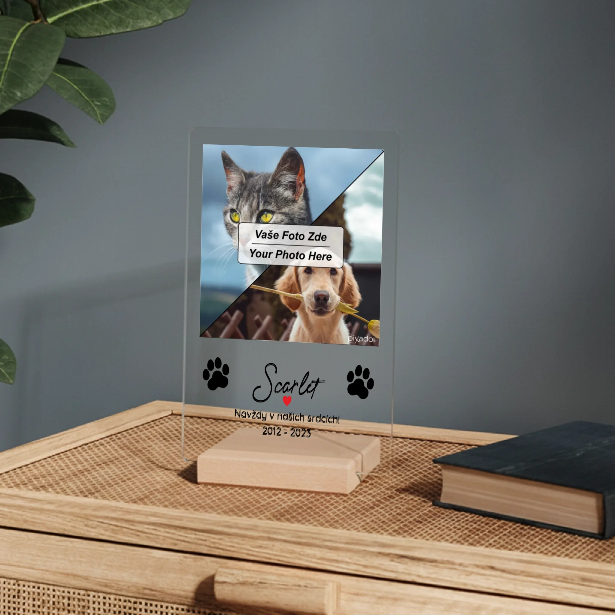 mockup 02