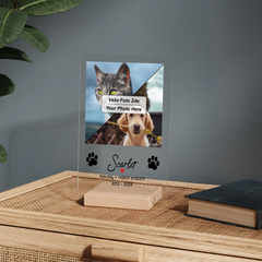 mockup 02