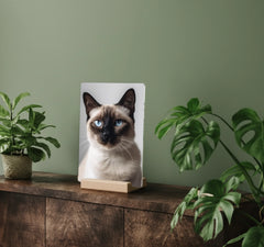 mockup 08