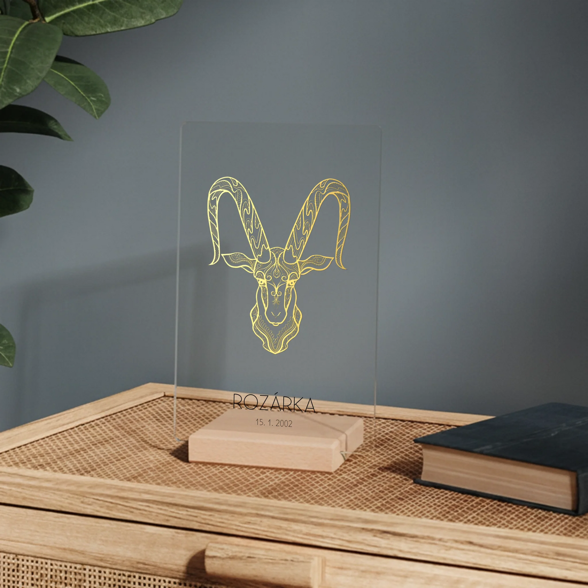 mockup 02