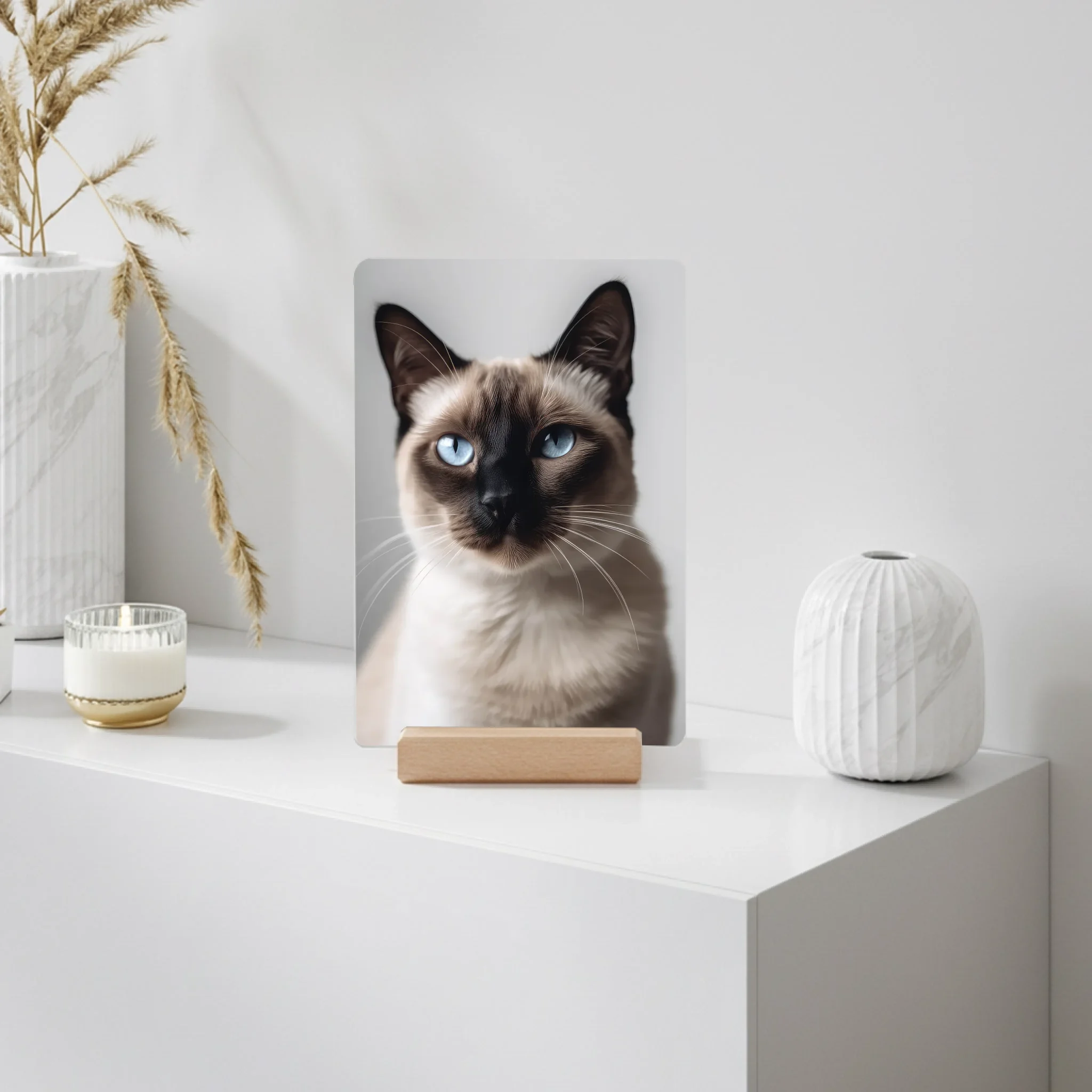 mockup 20