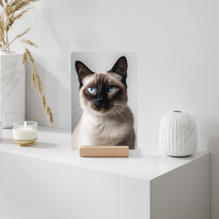 mockup 20