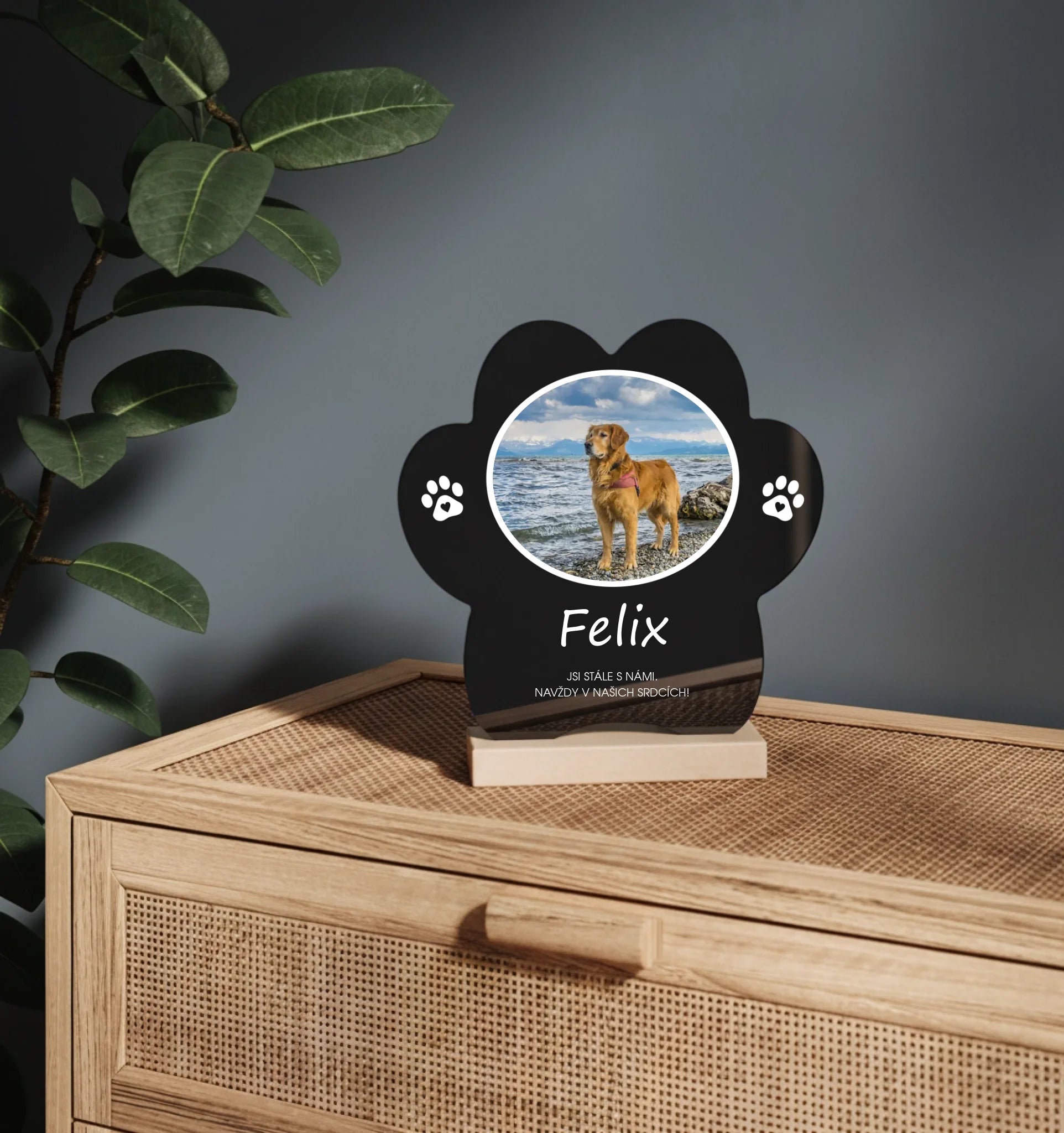 mockup packa 01