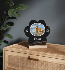 mockup packa 01