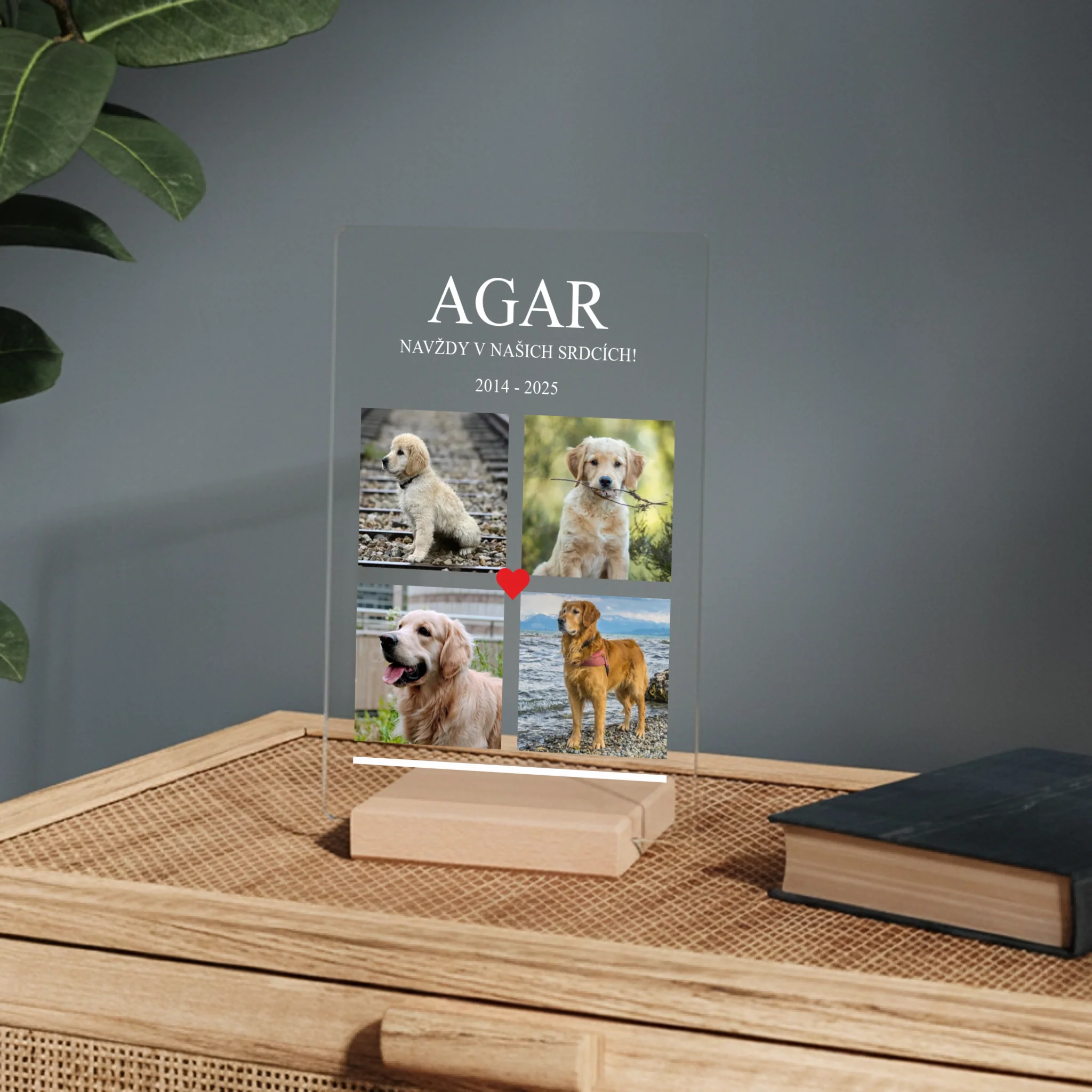mockup 02