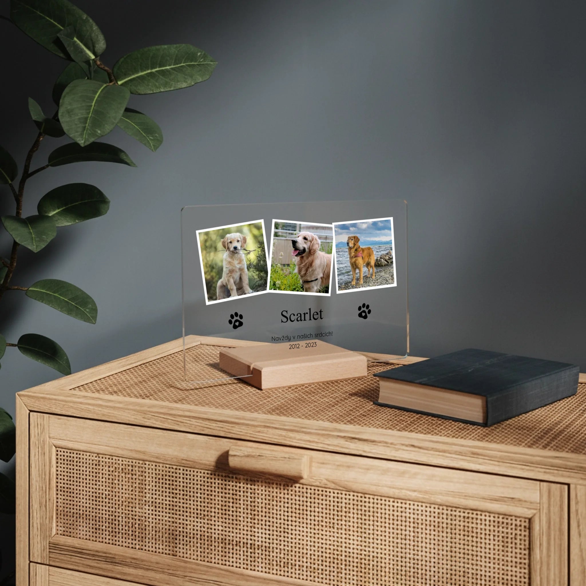 mockup 01 sirka