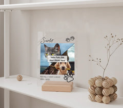 mockup 07