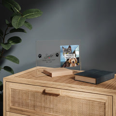 mockup 01 sirka