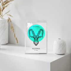 mockup blok 08