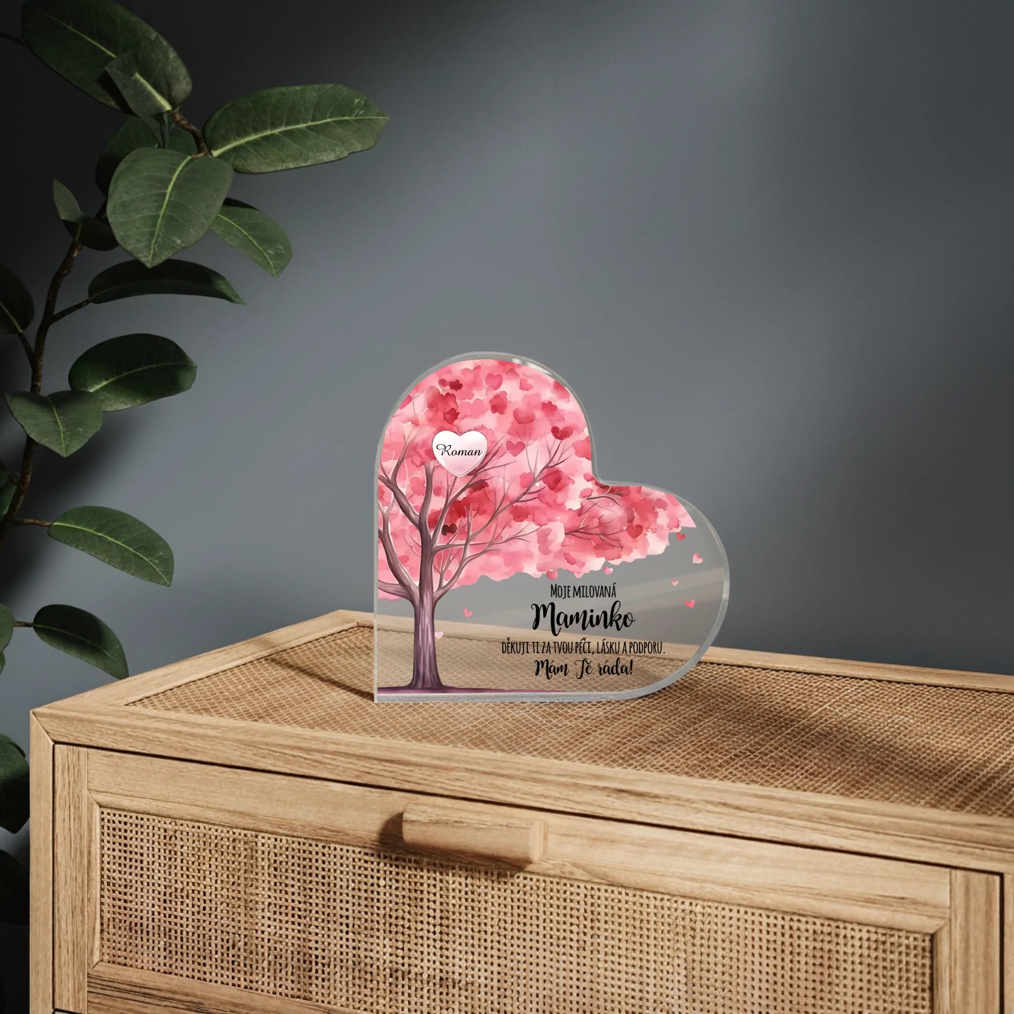 mockup srdce 01