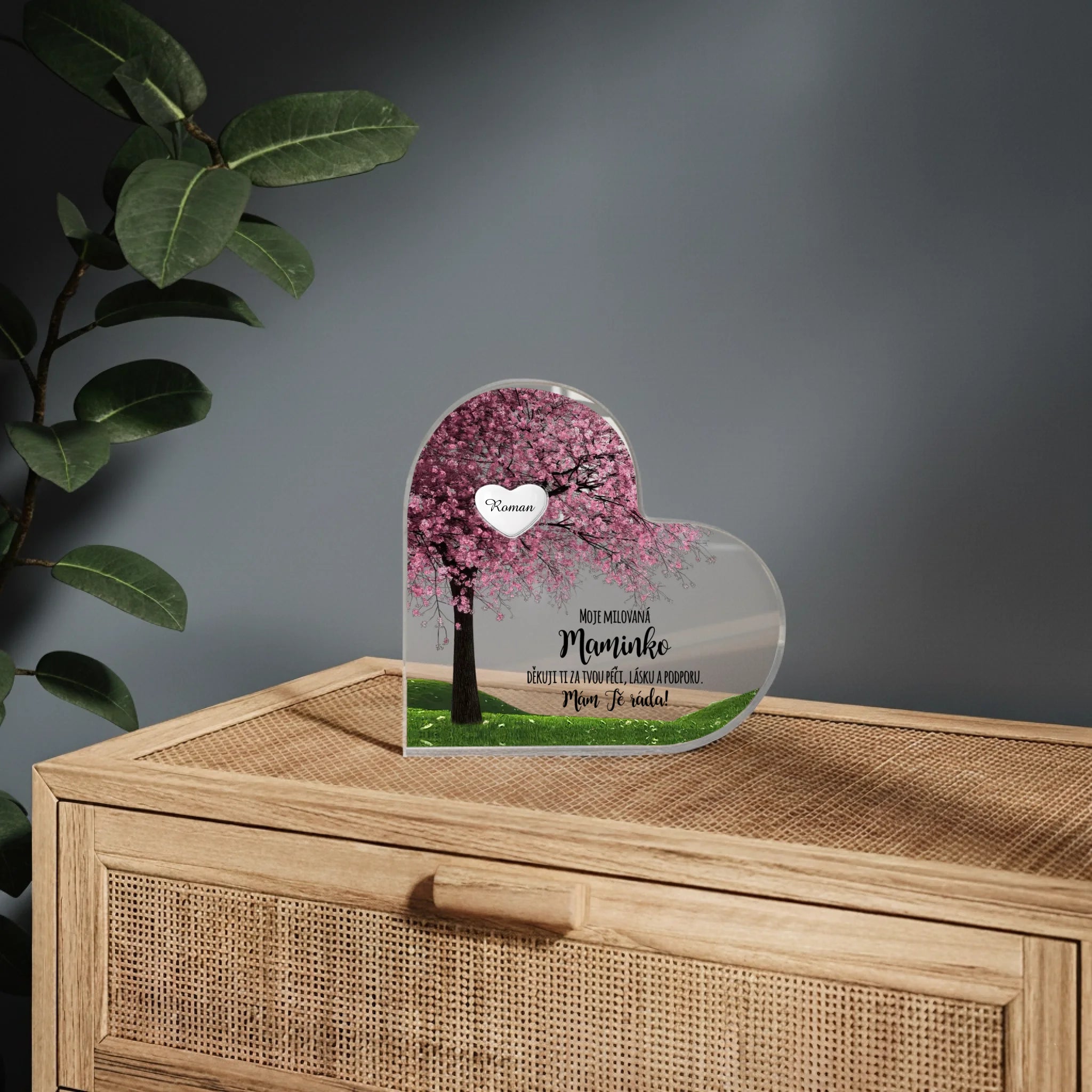 mockup srdce 01