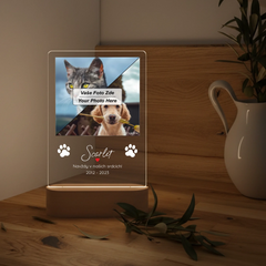 mockup lampa 9