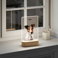 mockup lampa 10