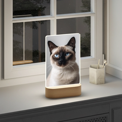 mockup lampa 10