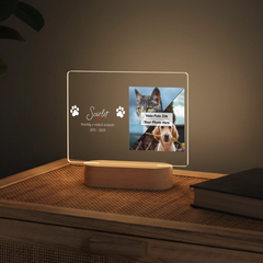mockup lampa sirka