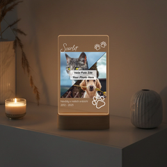 mockup lampa 6